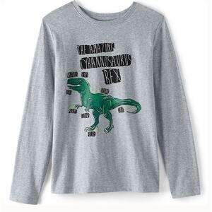 Lands End Gray Heather Dino Long Sleeved Shirt Boys XL 14-16